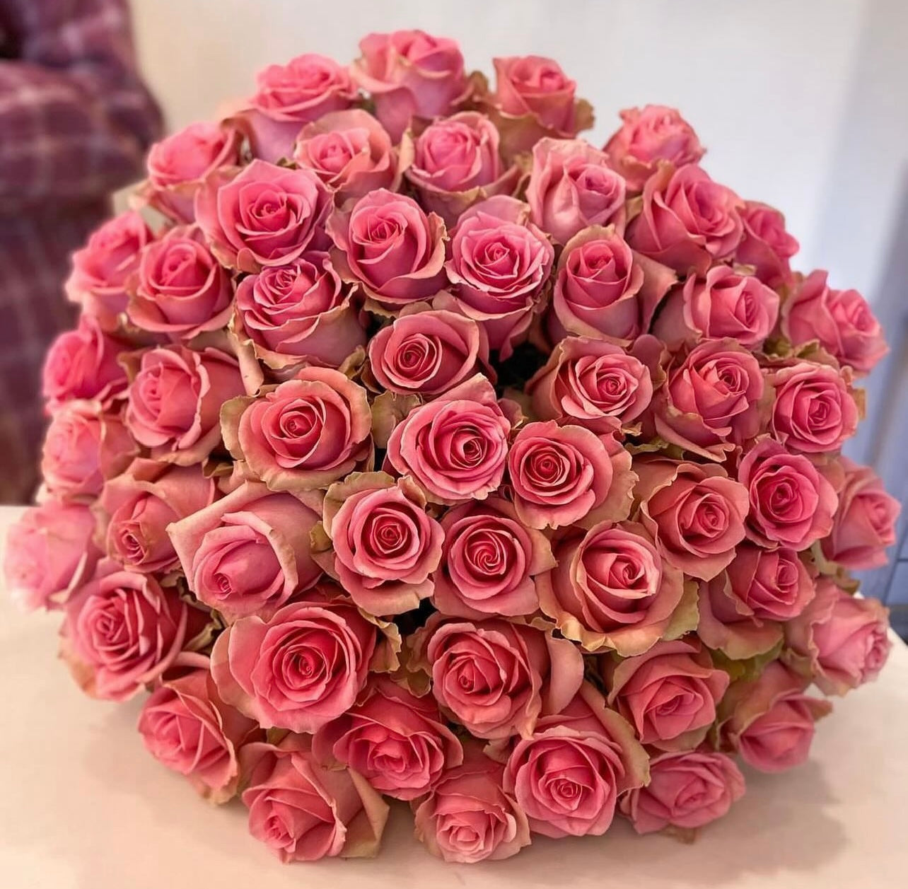 60 Roses