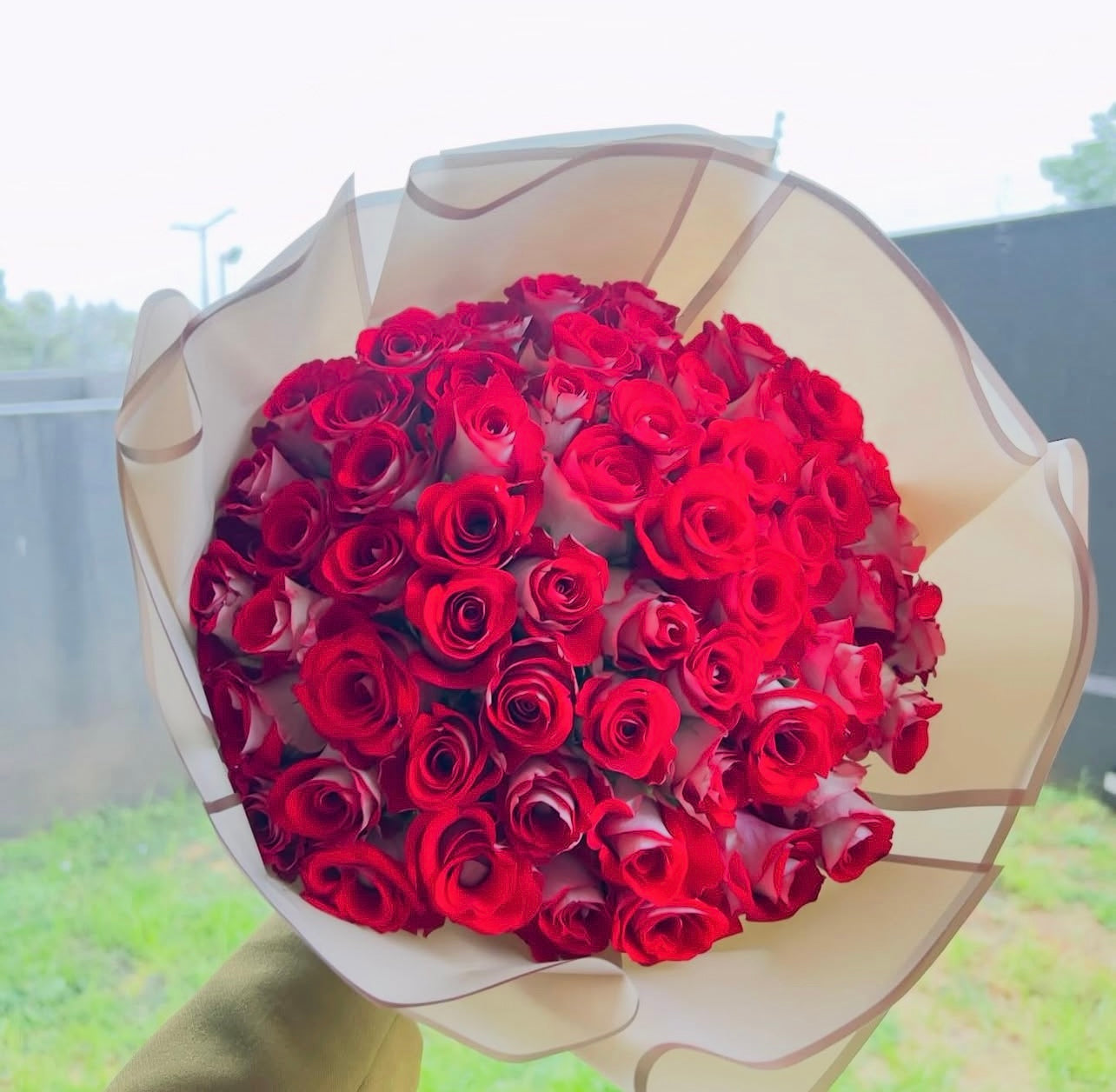 60 Roses