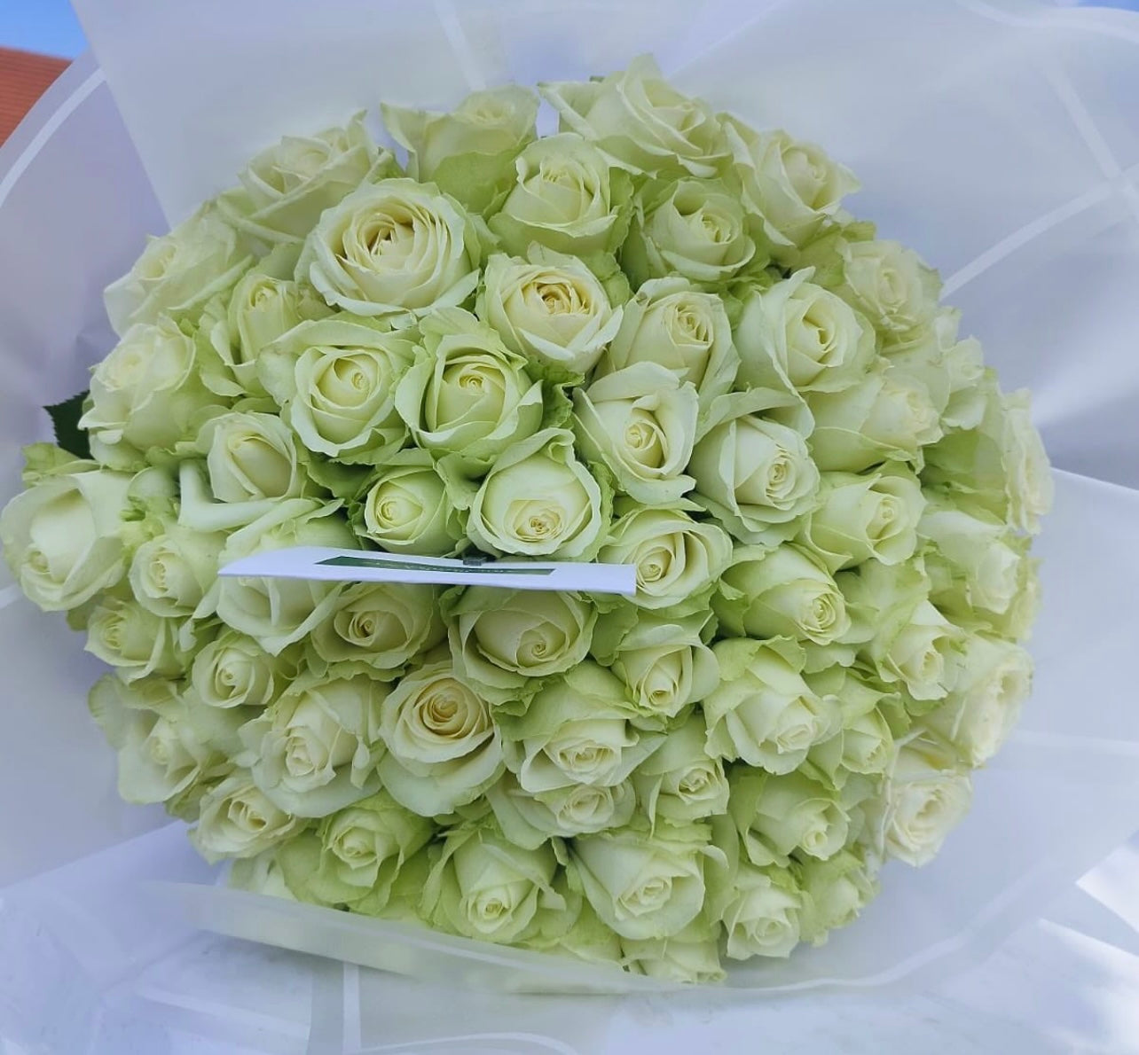 60 Roses