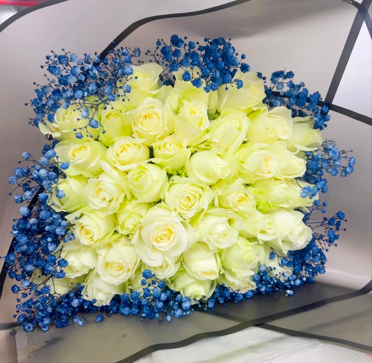 40 white roses with blue gyp