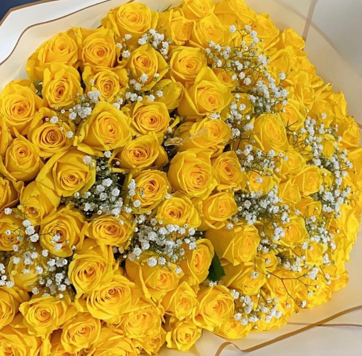 100 yellow roses with white gyp