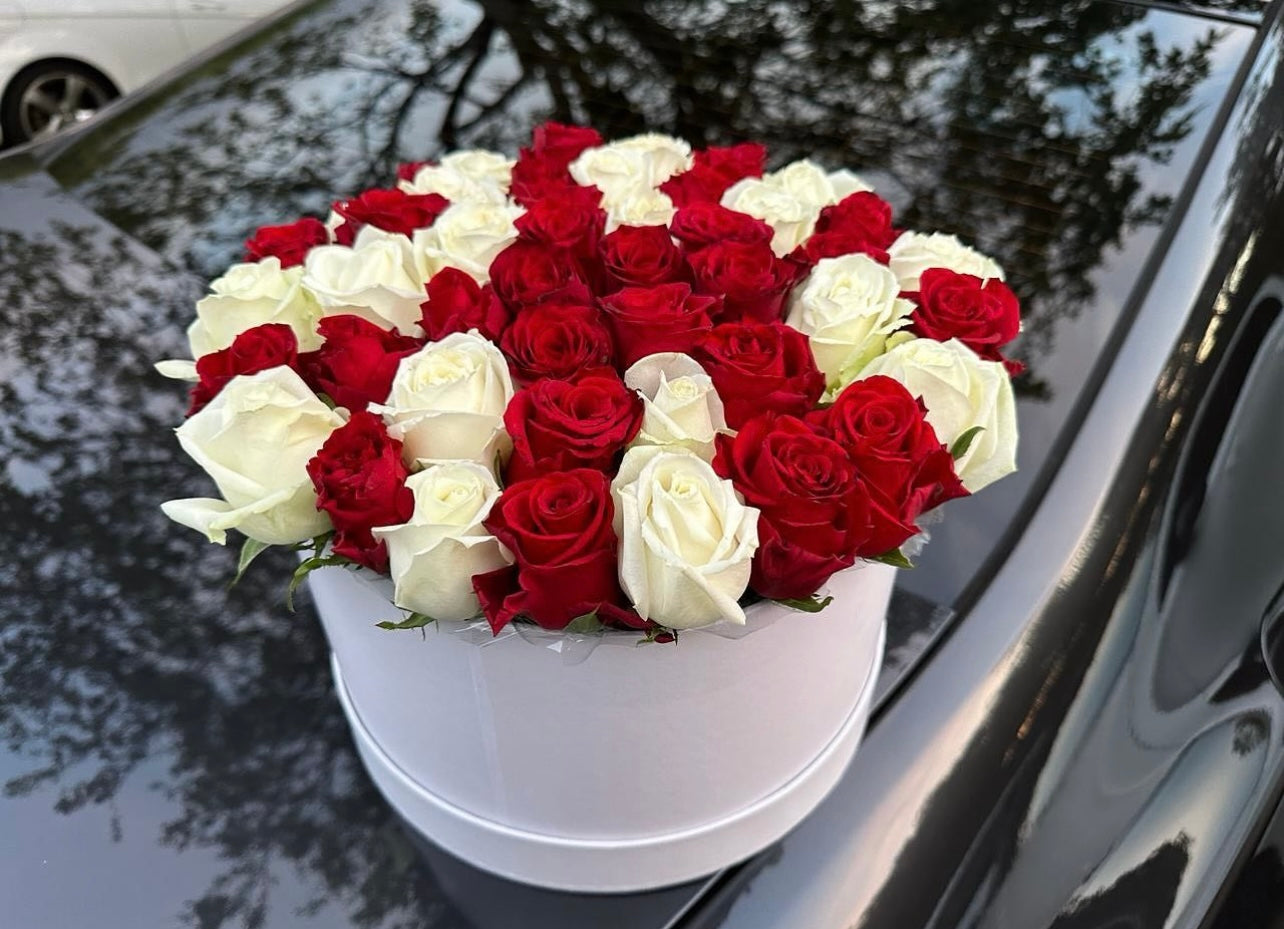 50 red and white roses in a box