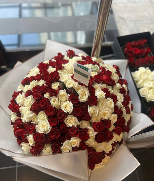 300 red and white roses