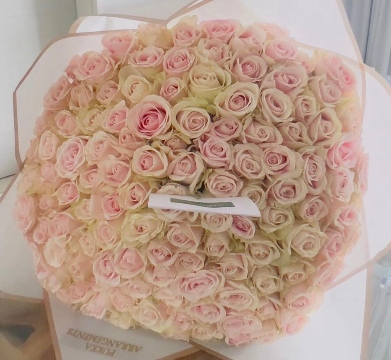 100 Pink Roses