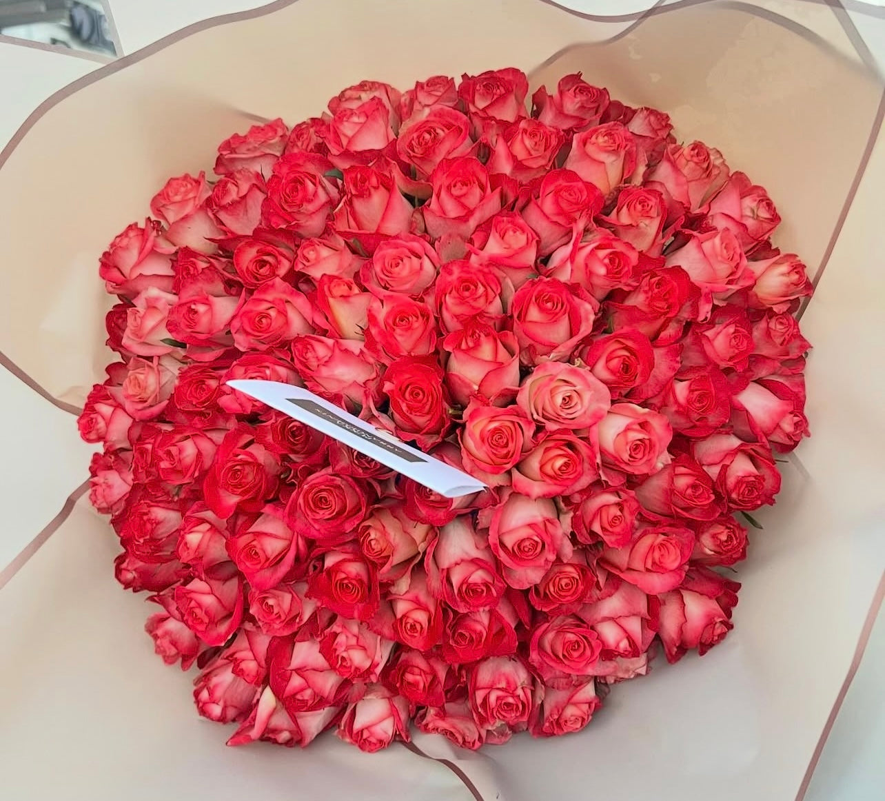 100 Pink Roses