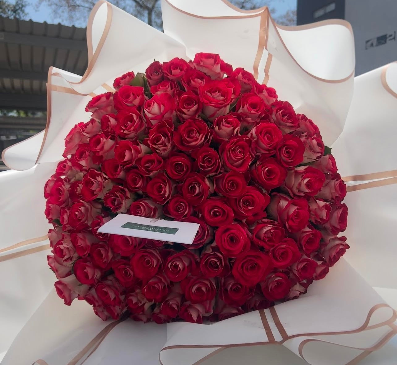 100 Pink Roses