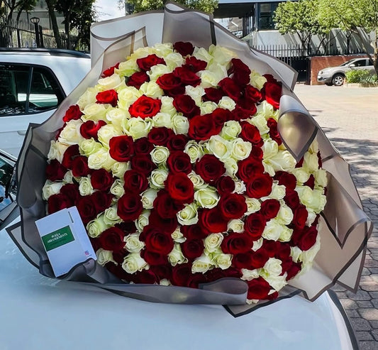 200 Red and White Roses