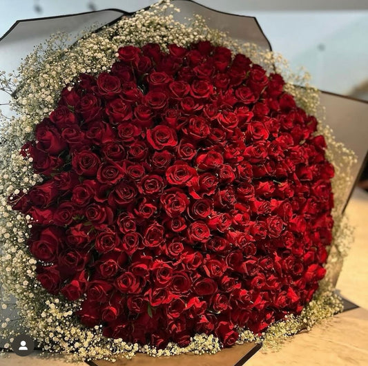 300 red roses with white fyp