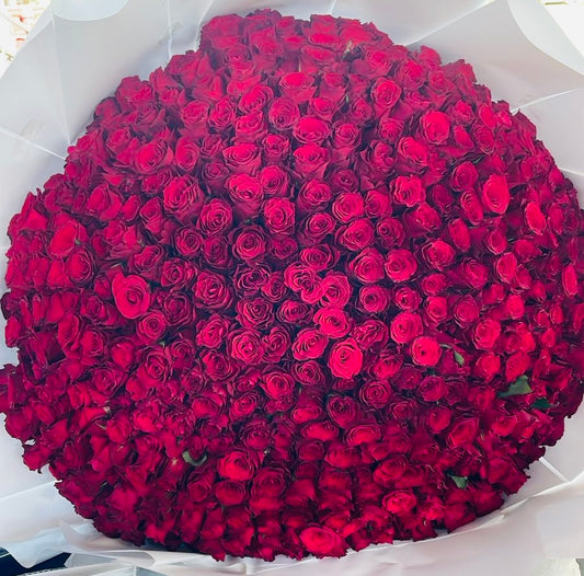 500 Red Roses