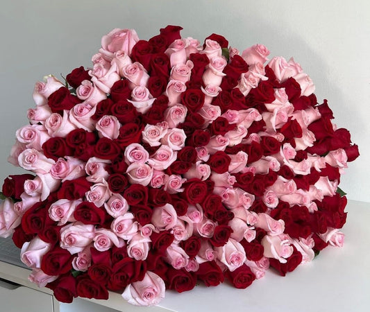 200 Red and Pink Roses
