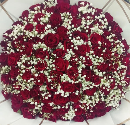 100 Roses with gyp