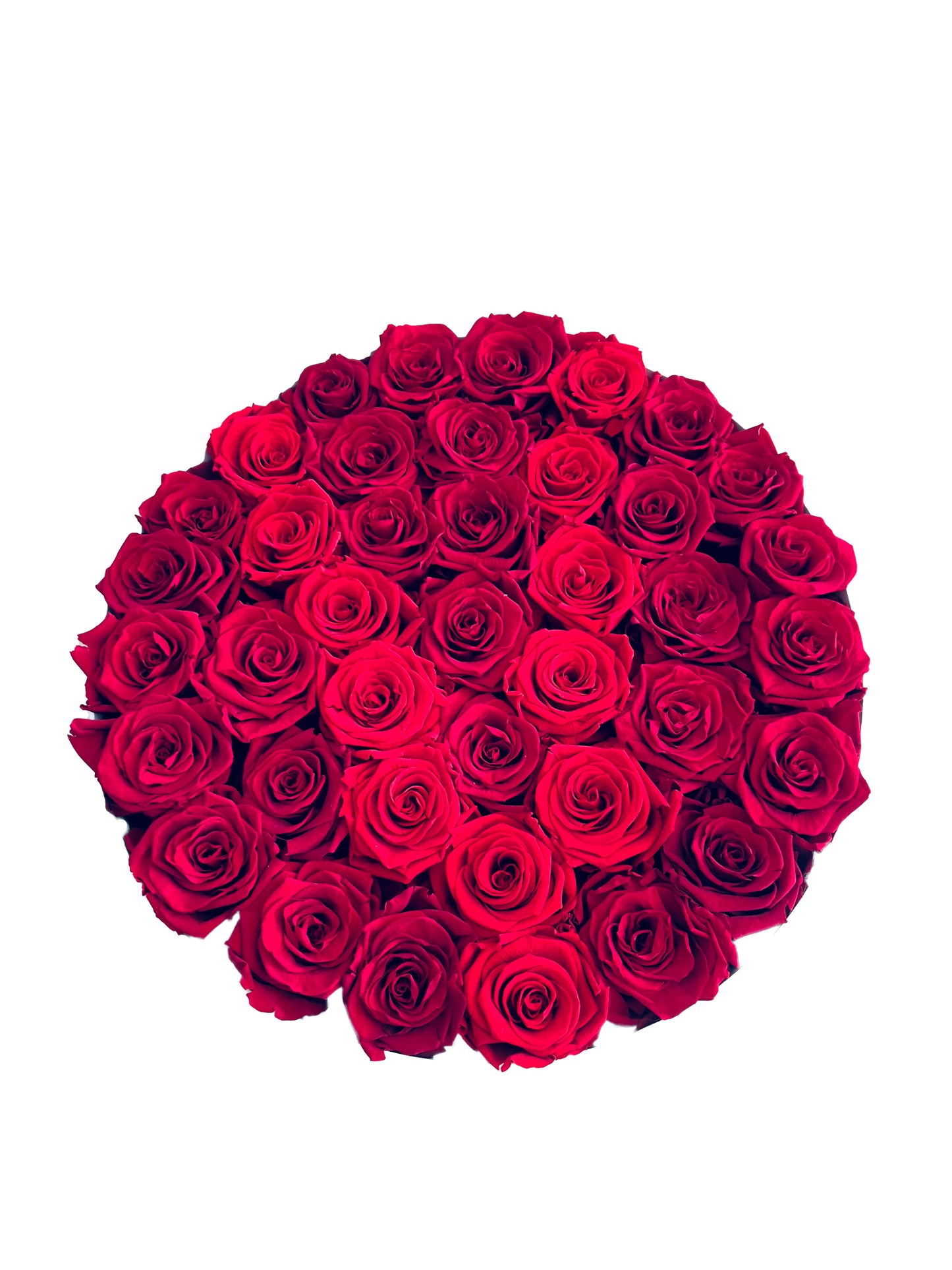 test rose